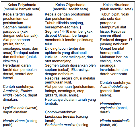 Klasifikasi hewan (invertebrata dan vertebrata)