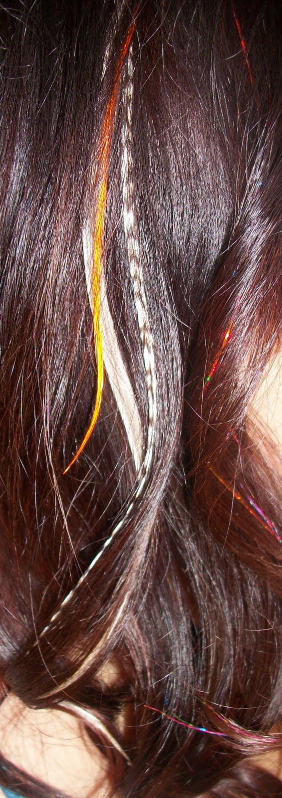 Makeup by Julia Summer Hair Tinsel & Feather Extensions!!