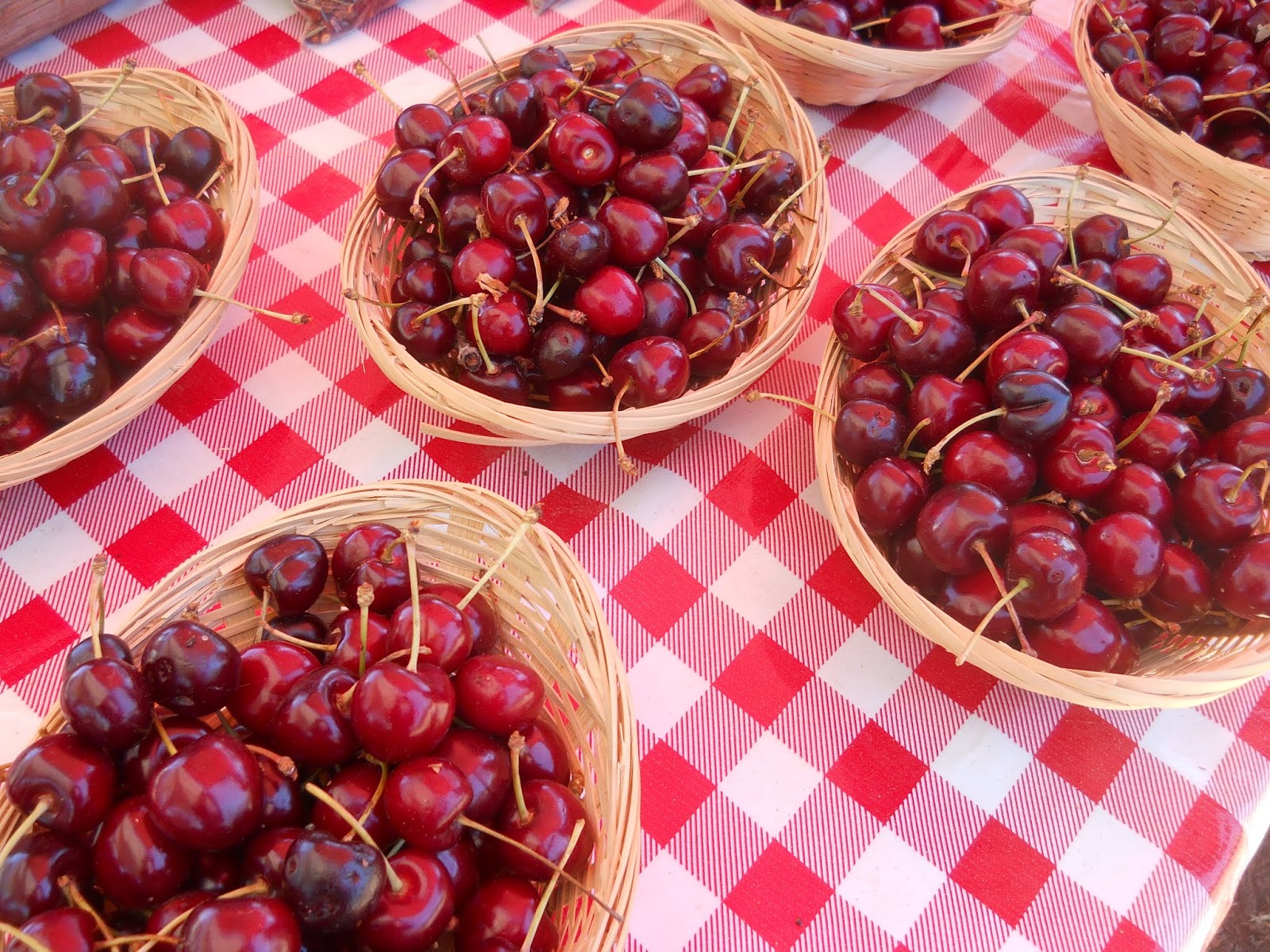 Española Farmers Market Highlights of the Española Farmers' Market!