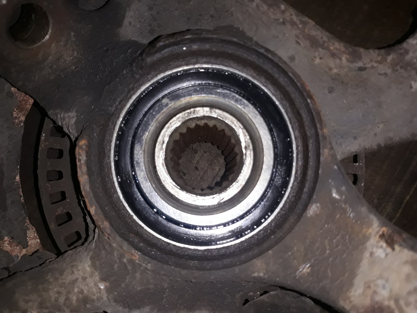 Schlagzeilenkäfer: Neues Radlager für den Polo 6N