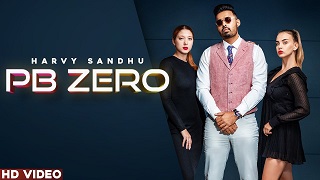 PB Zero song  Lyrics Harvy Sandhu | Rukhsar