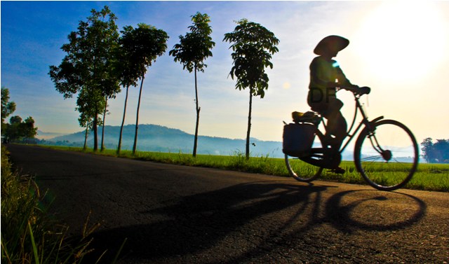 Rezeki Tak Kemana, Tapi Jika Tak Kemana-mana Tak akan Dapat Rezeki