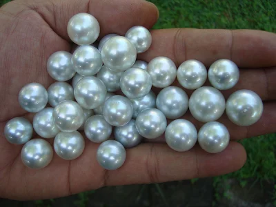 Loose white sea pearls round semi round grade A/B quality