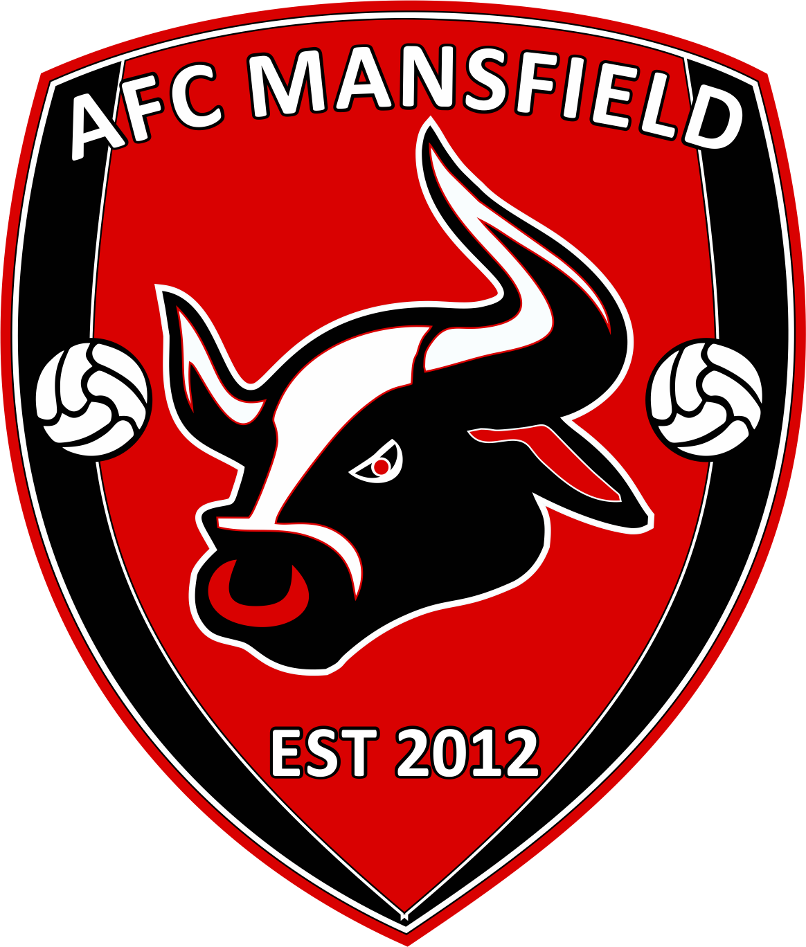 AFC MANSFIELD (Archived): AFC Mansfield U11's reach Cup Final!!
