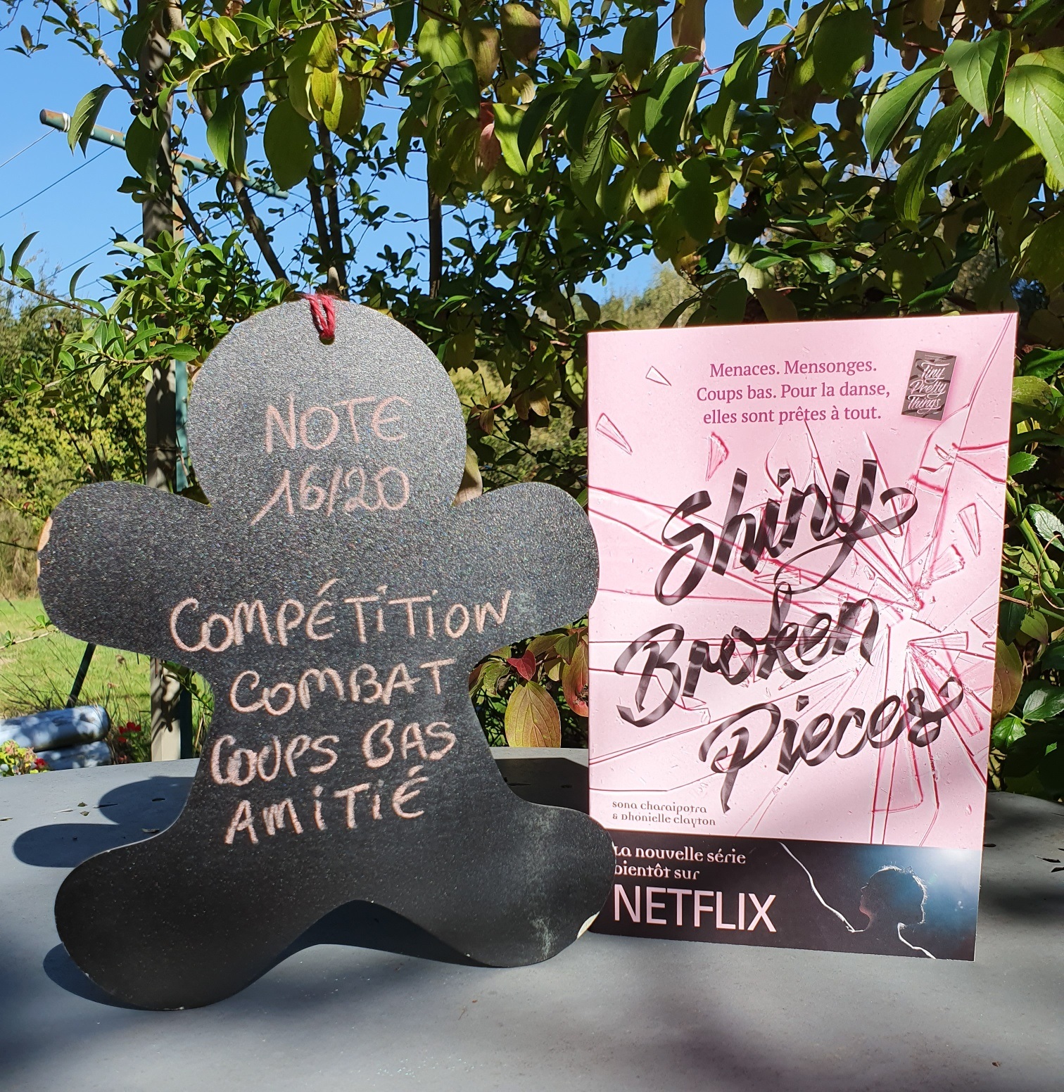 Les lectures de Mylène Tiny Pretty Things, tome 2 Shiny Broken Pieces de Dhonielle Clayton et