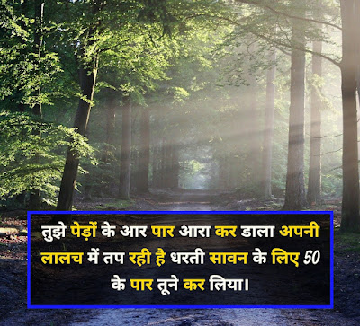 Tree Shayari 2022