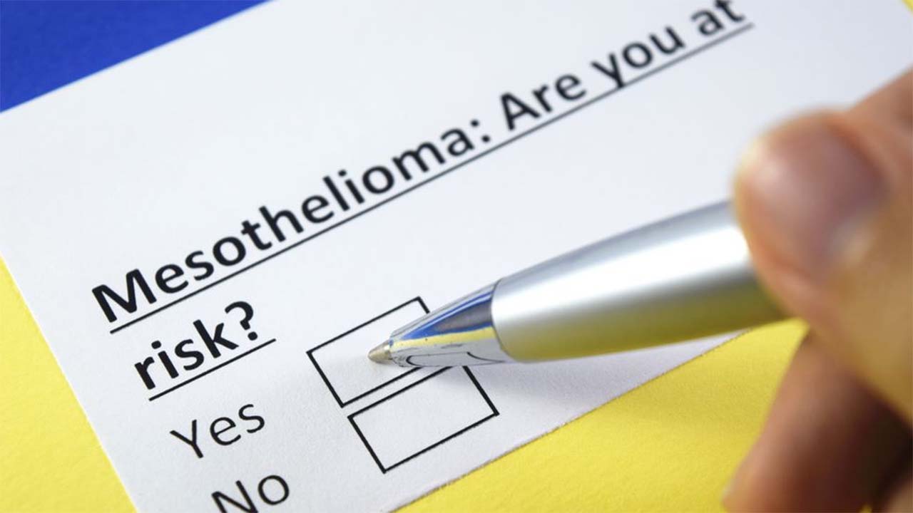 Things to Know approximately Mesothelioma Survival Rate Things to Know approximately Mesothelioma Survival Rate