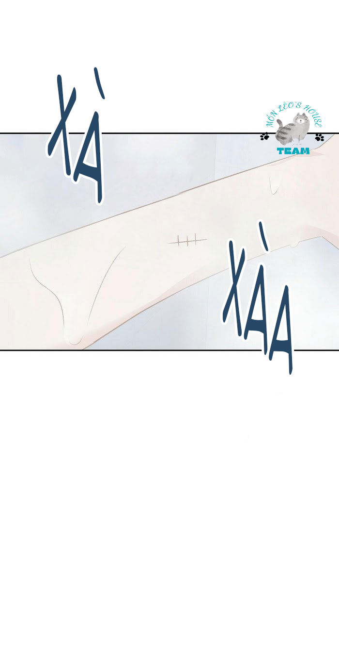 Đọc truyện Assorted Wildness - Chapter 12