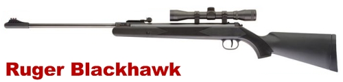 Manasota Air Guns: Ruger Blackhawk