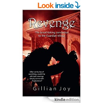 revenge book review guardian