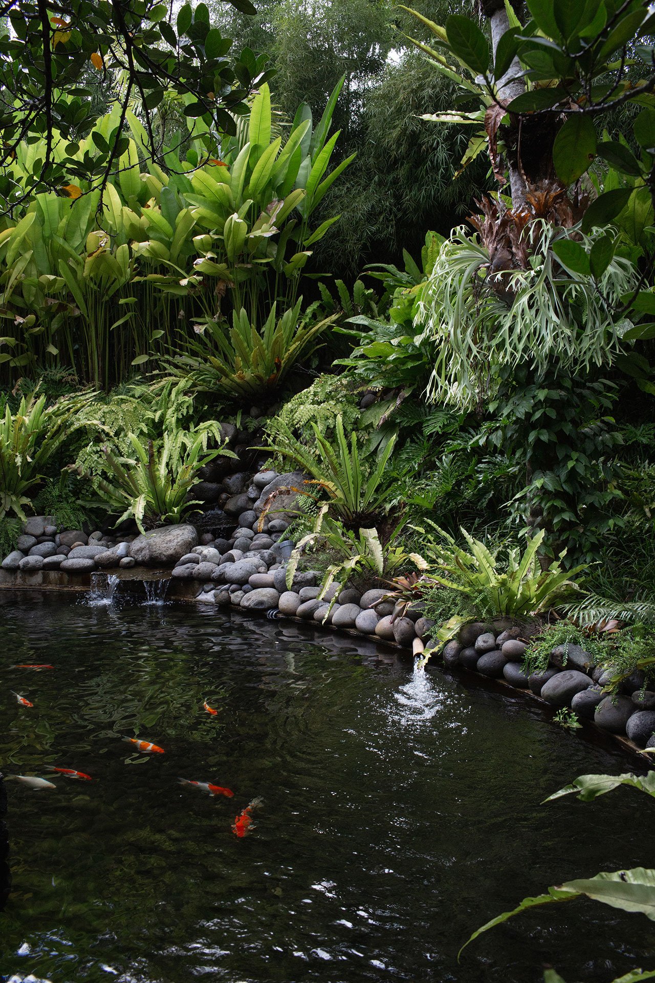 ������� ���� ���� ���� ��� ������� 39_s_studio_jencquel