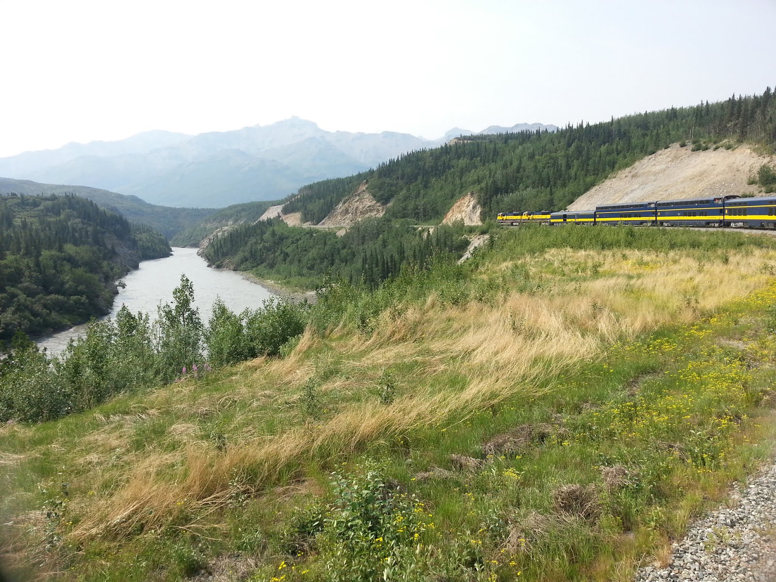 On the Go Fairbanks to Denali National Park