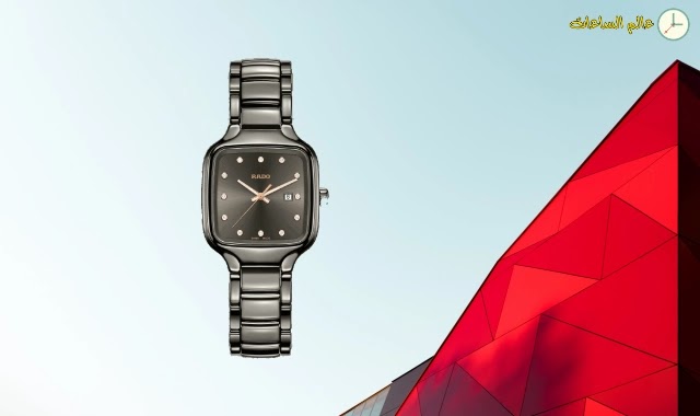 حوض الحفر بالإضافة إلى ساعات رادو النسائية وأسعارها Dsvdedommel Com