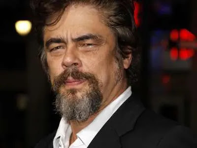 Benicio del Toro  Net Worth