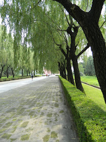 Sacred Way path near Ming Tombs showing hedges and willows by garden muses: a Toronto gardening blog