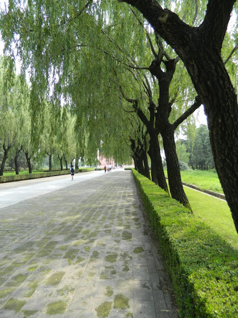 Sacred Way path near Ming Tombs showing hedges and willows by garden muses: a Toronto gardening blog