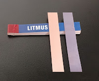 Difference Between Blue and Red Litmus Paper
