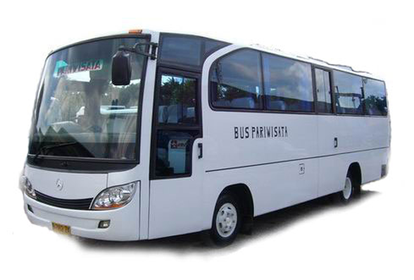 Tinggi Bus Pariwisata: Faktor-Faktor Penentu, Regulasi, dan Dampaknya