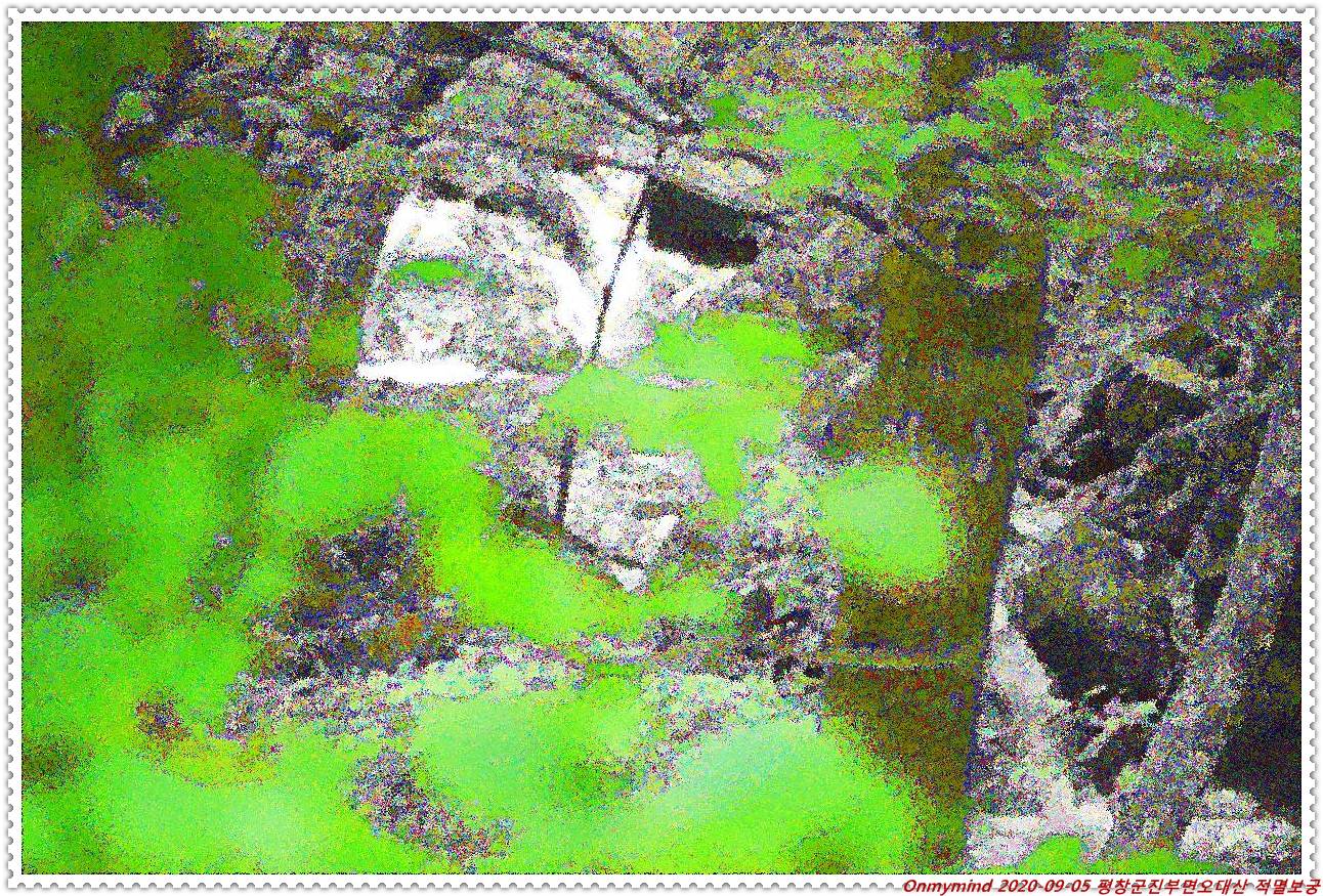 오대산 적멸보궁