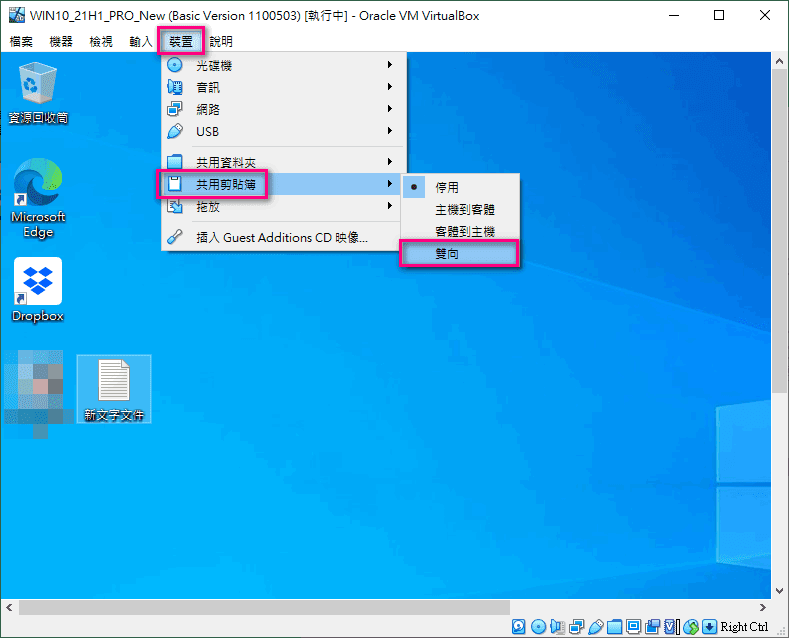 Windows VM 雙向剪貼簿