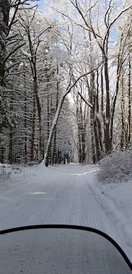 Letchworth State Park in winter