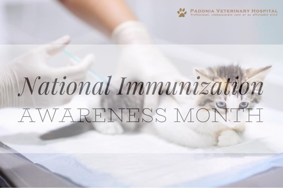 National Immunization Awareness Month National Immunization Awareness Month