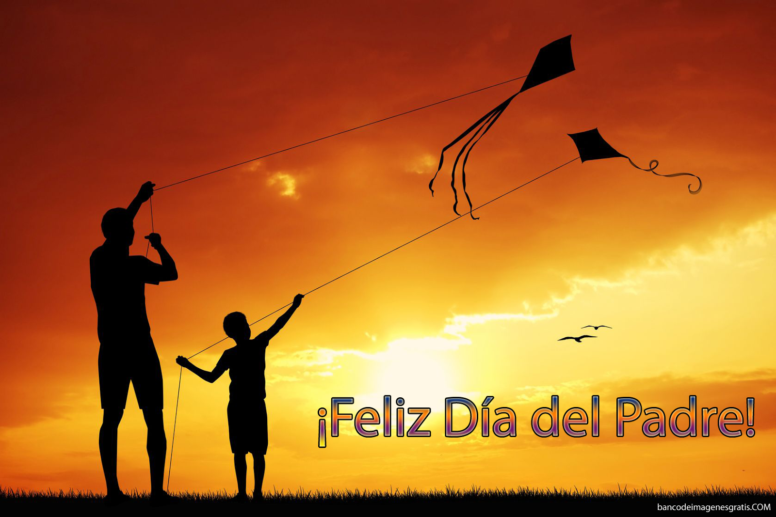 FELICIDADES A TODOS Feliz-dia-del-padre-postales-para-compartir-2014-junio