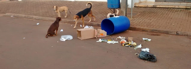 Roncador: Olha a bagunça...