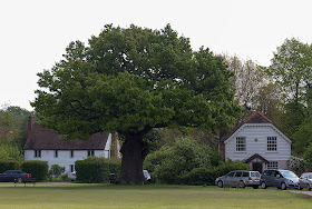 Leigh village green, 19 May 2012.