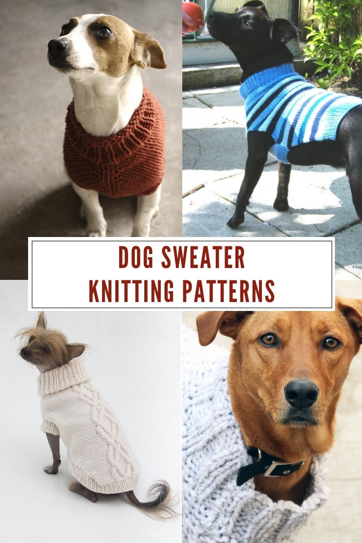Big Dog Sweater Crochet Pattern Ovie Media
