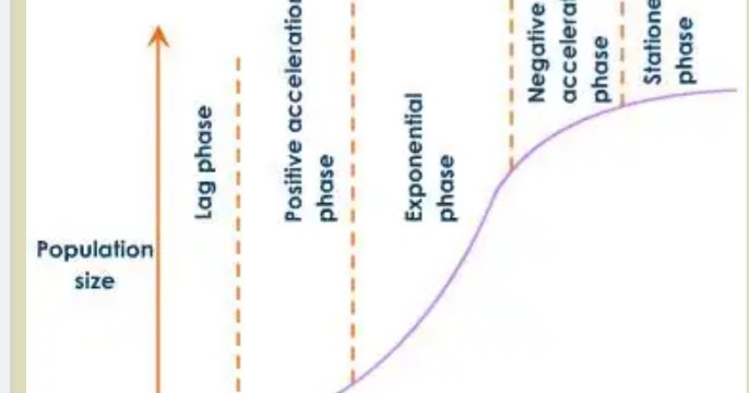 GROWTH : INTRODUCTION