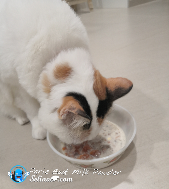 Parie Goat Milk for Kitten and Cats Malaysia