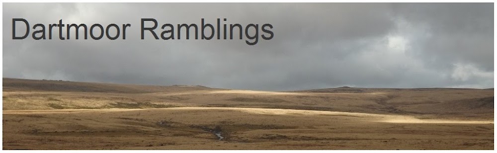 Dartmoor Ramblings