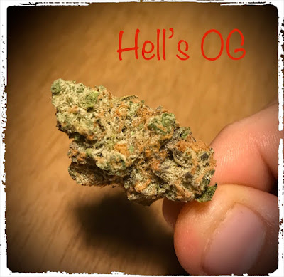 pennsylvania medical marijuana,terrapin,hell's og,hells og,flower,pa medical marijuana