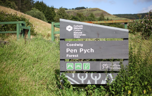 Pen Pych 