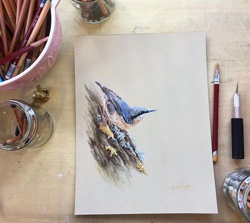 How to Use Pastel Pencils - Emily Rose Fine Art