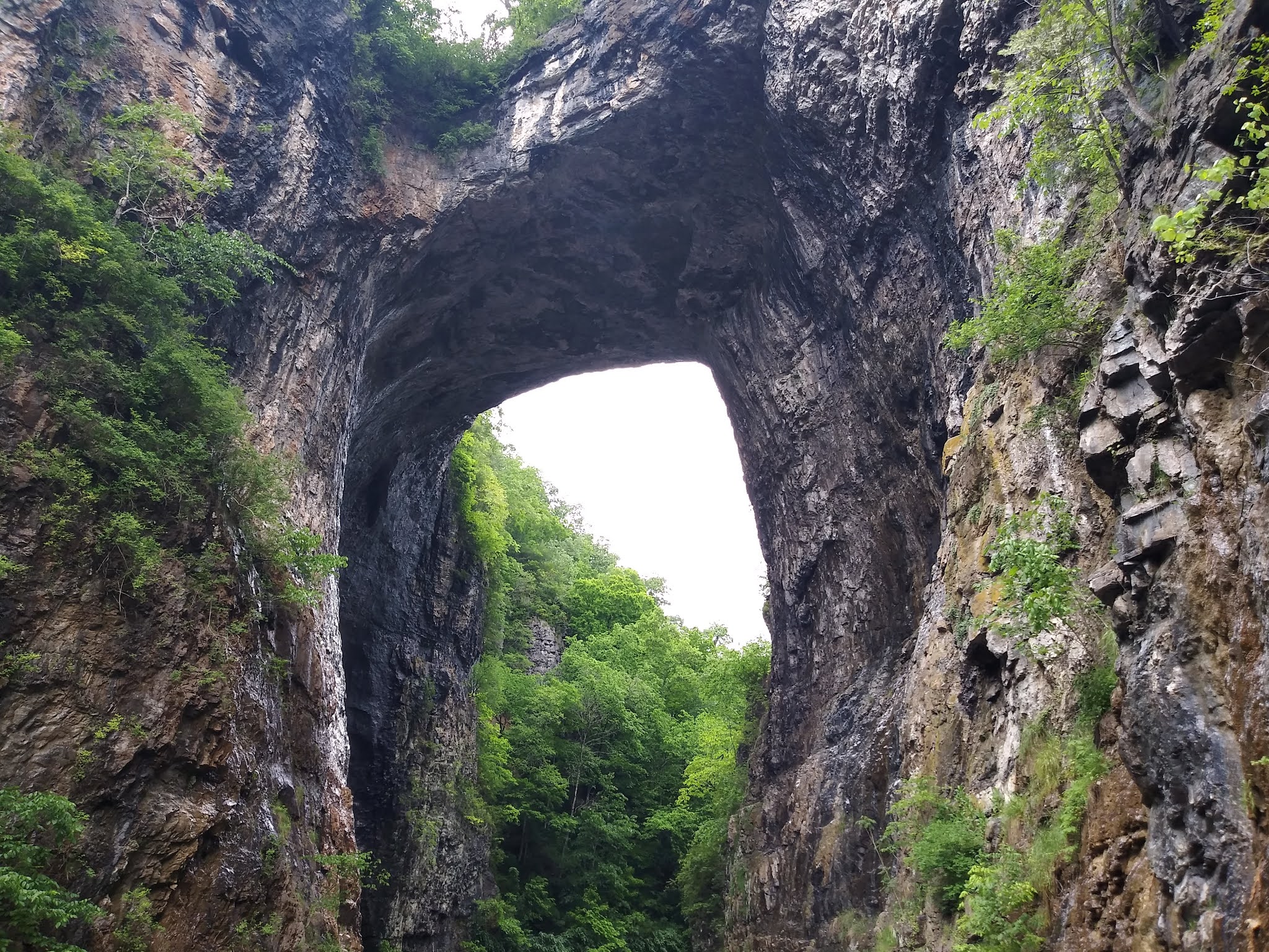 His and Her Hobbies N N Is for Natural Bridge