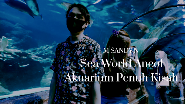  Sea World Ancol Akuarium Penuh Kisah