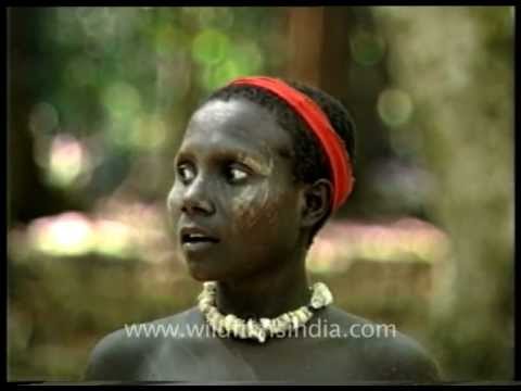 андаманские острова племя джарава. андаманские острова. джарава андаманские острова. андаманские острова. андаманские острова рождаются только девочки.