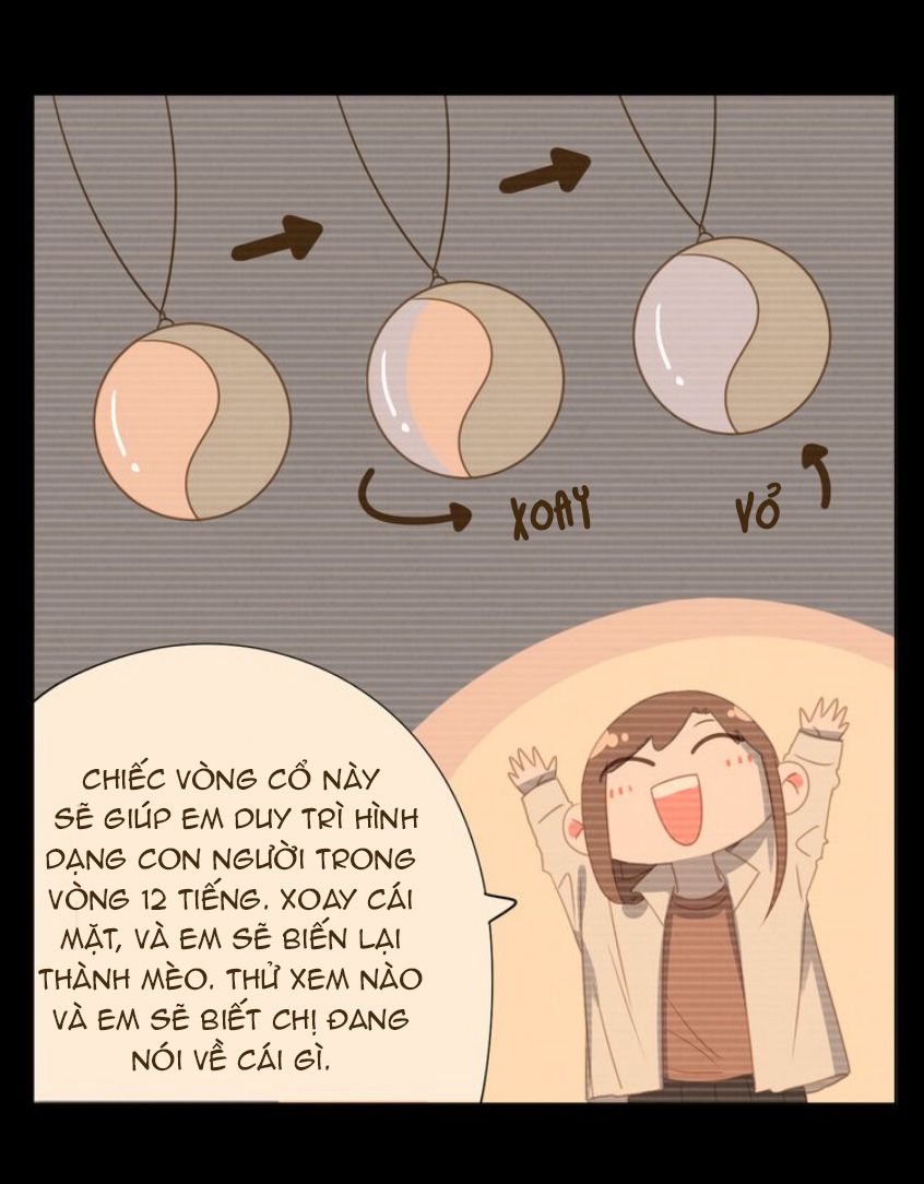 Đọc truyện Thế giới của một chú mèo - Chapter 26