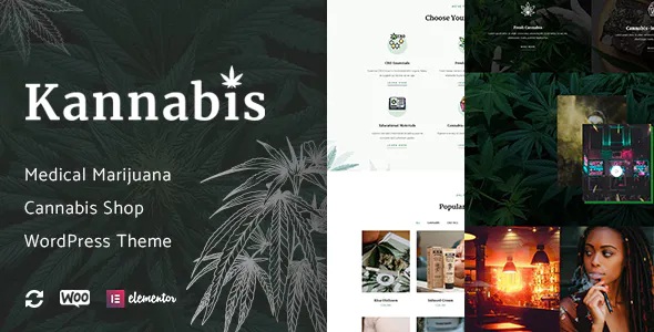 Best Medical Marijuana & Cannabis WordPress Theme