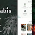 Kannabis Medical Marijuana & Cannabis WordPress Theme Review