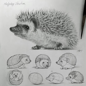 08-Little-hedgehog-Anjjaemi-www-designstack-co