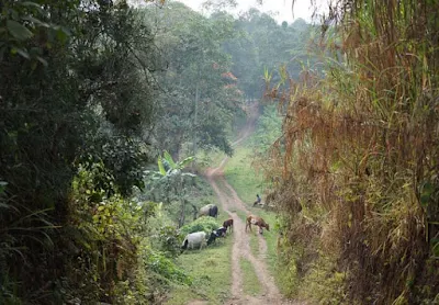 The equator is located in Kayabwe, Mpigi District in Uganda.