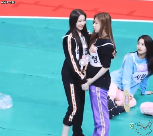 털자매 채연 채령