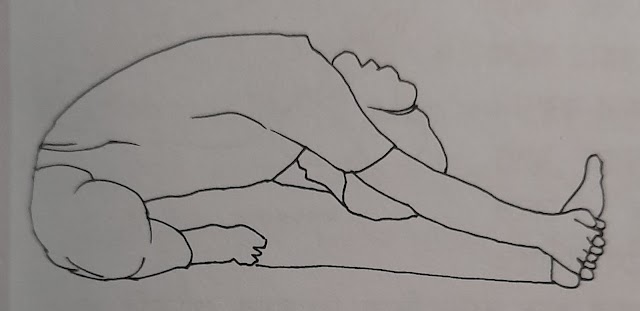 Yoga,head-on knee  pose ( Janu Sirsasana)