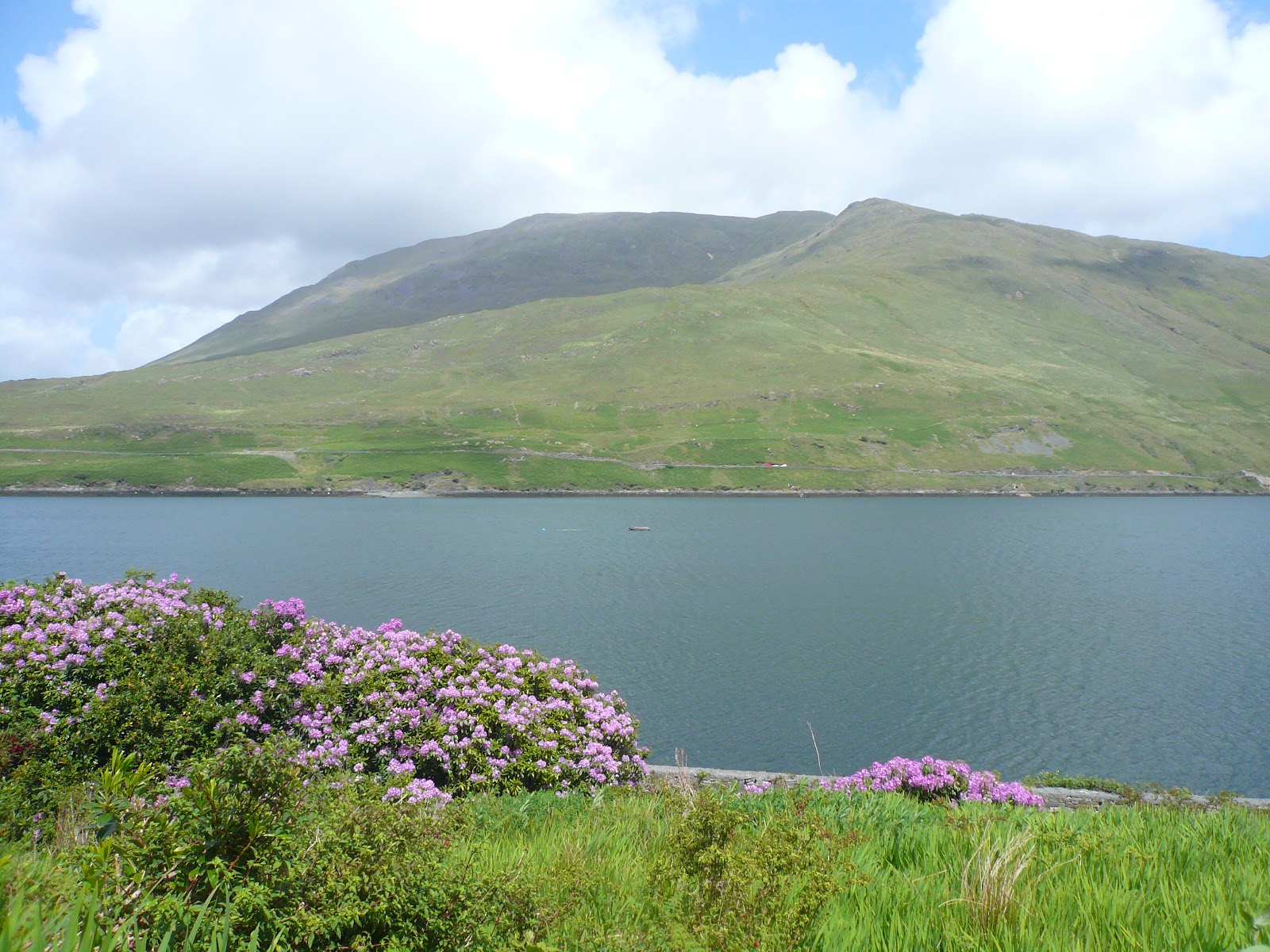 Economical Explorer: Leenane - Where the Irish Are Probably Too Trusting