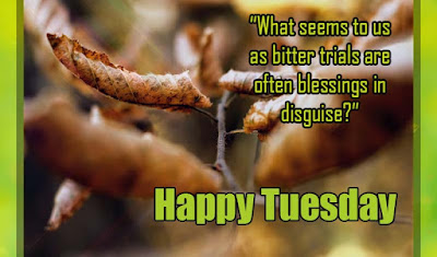 Tuesday Quotes - Quotes about Tuesday