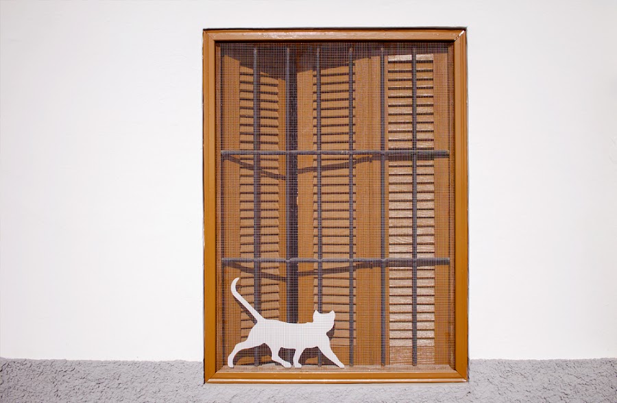 granada albaicin andalucia viaje fotografias