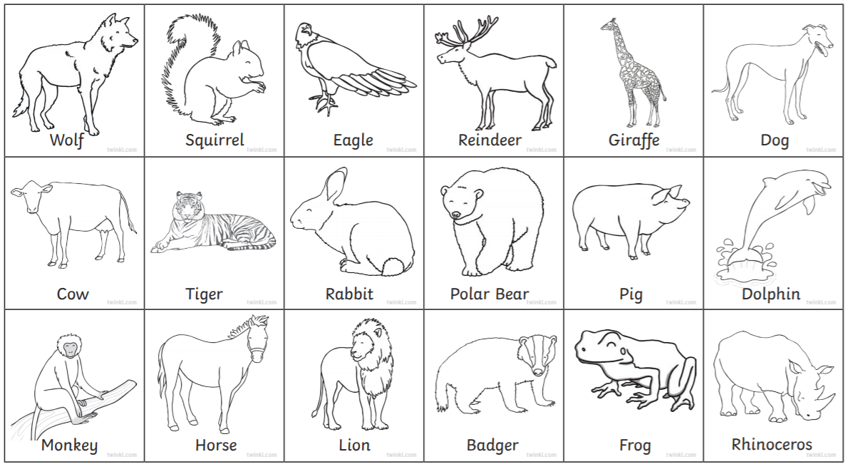 Herbivores, Carnivores and Omnivores! 